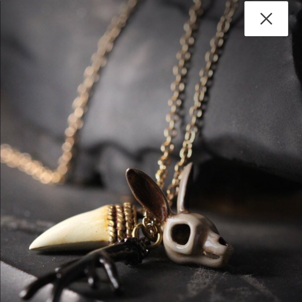 Defy Rabbit Skull, Tiger Tooth, & Antler Necklace